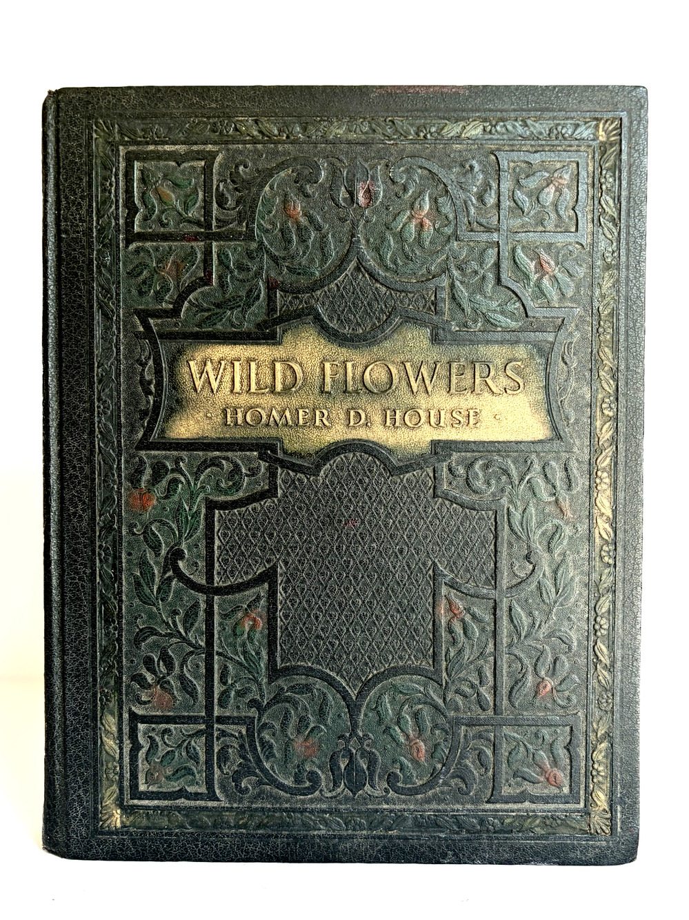 Wild Flowers Book Homer D House Macmillan 1935 Color Botanical Plates EXCELLENT